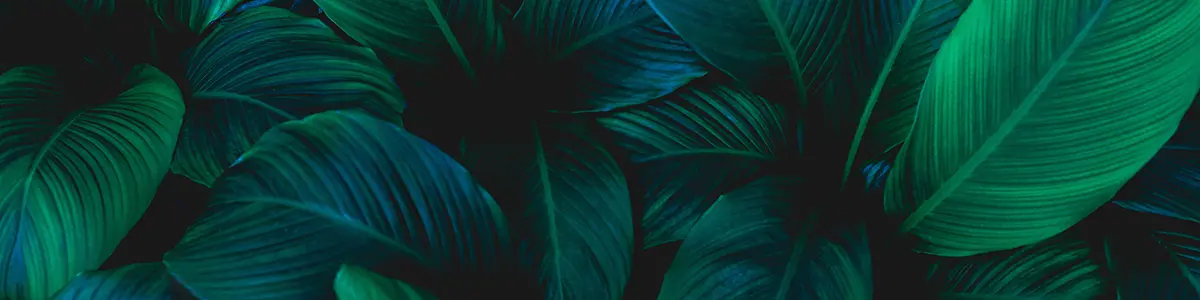 Contactcover Adobestock 320255180