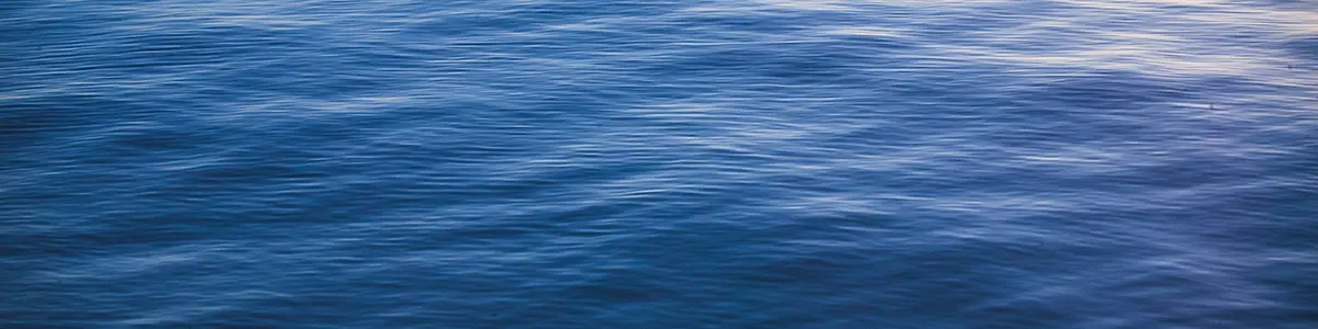 Cover Adobestock 229078495